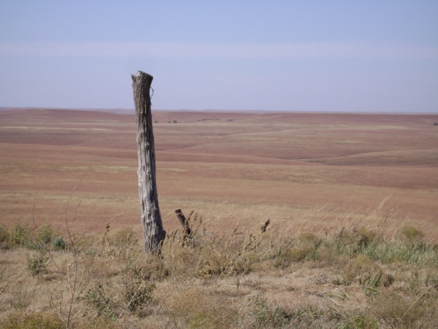 Kansas Prairies